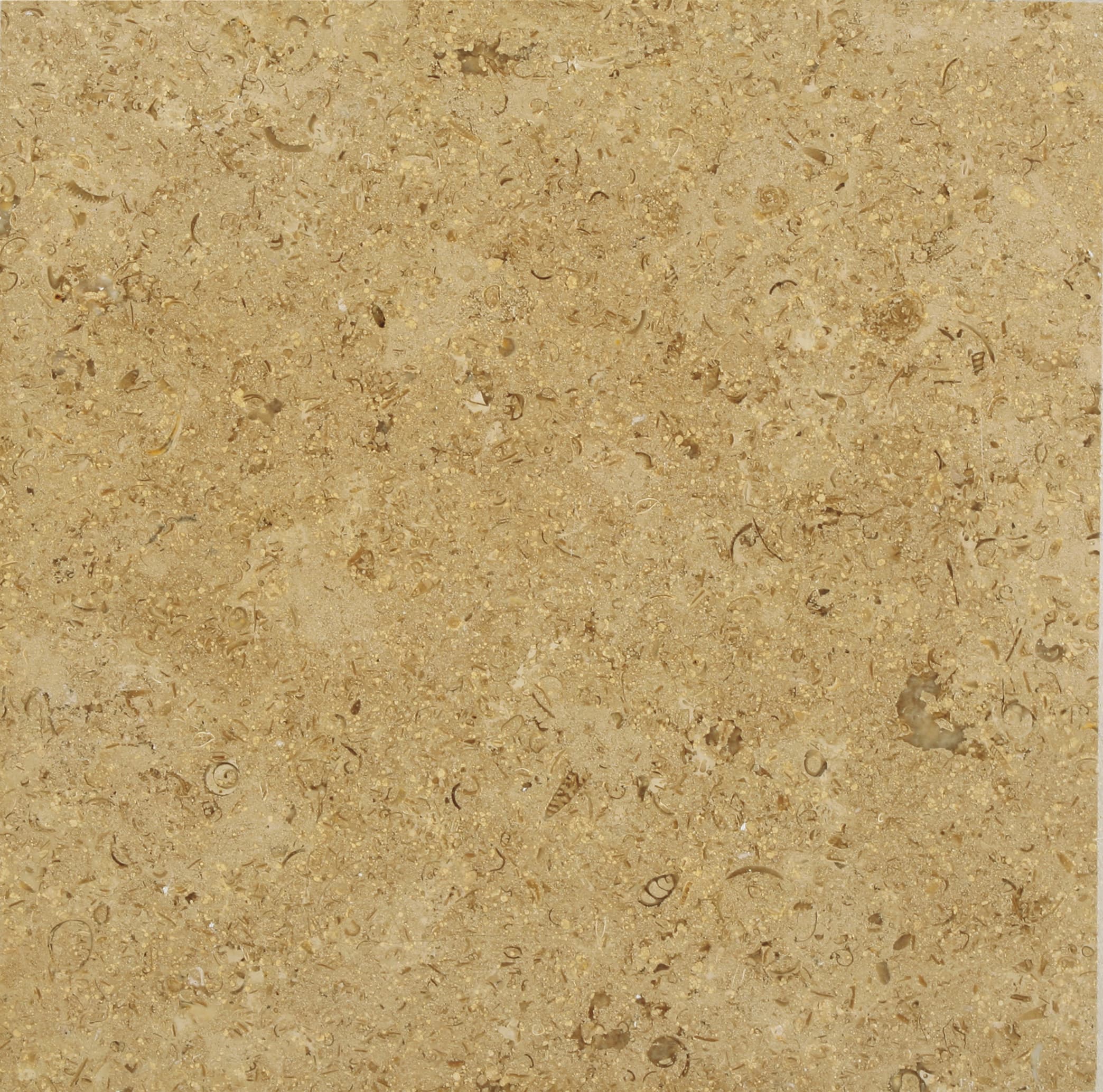 Sinai Pearl Honey · Marble